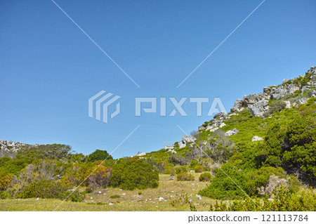 Landscape view of nature in Cape Town, South Africa during summer holiday and vacation. Scenic hills and scenery of fresh green flora growing in remote area. Exploring nature and the wild Landscape view of nature in Cape Town, South Africa during summer holiday and vacation. Scenic hills and scenery of fresh green flora growing in remote area. Exploring nature and the wild 121113784