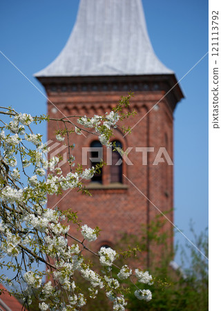 Mirabelle flowers blooming in front of a church tower. Tree plants with pretty white flower twigs blossoming in spring by countryside. White flowering plum tree in a traditional village near a chapel 121113792