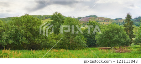 Wide green landscape of trees and grass. Lush field on a cloudy day outside. Rural farm land with hills in Denmark. Peaceful widescreen nature scene of woodland. Quiet vibrant wilderness in summer 121113848