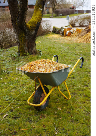 A wheelbarrow filled with woodchips in the garden background. Milch or bark used as compost on lush green grass in spring. landscaping being done in frontyard with gardening tools on a sunny day A wheelbarrow filled with woodchips in the garden background. Milch or bark used as compost on lush green grass in spring. landscaping being done in frontyard with gardening tools on a sunny day 121113923