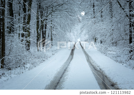 Snowy road in the forest Snowy road in the forest 121113982
