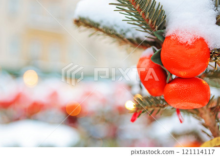 Snow lies on tangerines. Tangerines on branch in snow. Background for inscription. Concept of New Year. 121114117