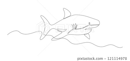 Shark one line sketch. Hand drawn doodle vector illustration isolated on white background. Sea animal drawing 121114978