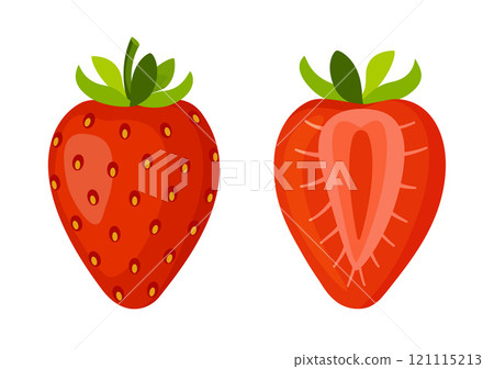 Strawberry, fresh bright halved and whole berries flat style isolated Strawberry, fresh bright halved and whole berries flat style isolated 121115213
