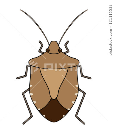 棕色臭蟲的插圖 121115532