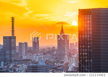 Evening view of skyscrapers in the Shinjuku area of Tokyo 121115923