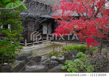 【有秋葉的古民居】 121116094