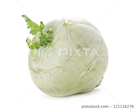 Turnip cabbage 121116276