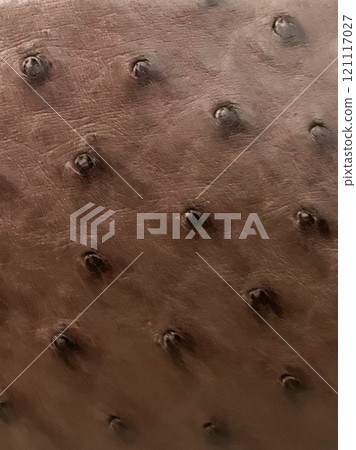 Ostrich leather bag surface texture 5 Ostrich leather bag surface texture 5 121117027