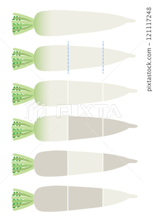 插畫素材：蘿蔔、蘿蔔部分 121117248