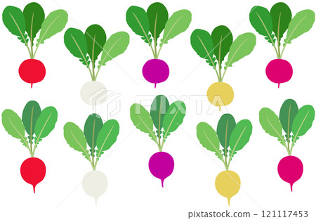 插畫素材:蘿蔔,多彩二十天蘿蔔套裝 插畫素材:蘿蔔,多彩二十天蘿蔔套裝 121117453