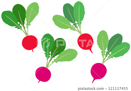 插畫素材:蘿蔔二十天蘿蔔套裝 插畫素材:蘿蔔二十天蘿蔔套裝 121117455
