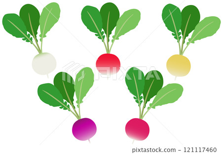 插畫素材：蘿蔔，多彩二十天蘿蔔套裝 121117460