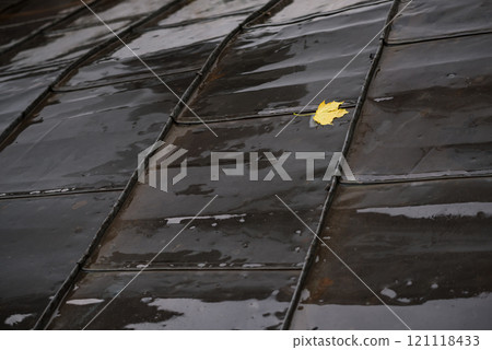 Yellow autumn leaf Yellow autumn leaf 121118433