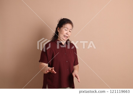 Senior East Asian Woman Senior East Asian Woman 121119663