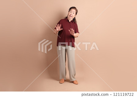 Senior East Asian Woman Senior East Asian Woman 121119722