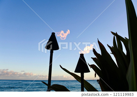 Seaside Torch 121119983