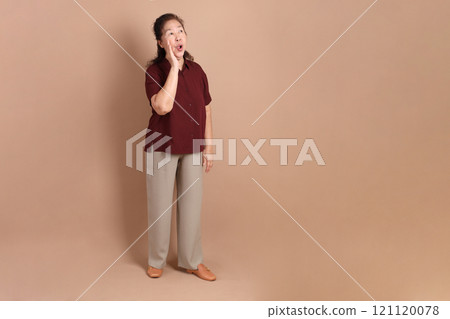 Senior East Asian Woman 121120078