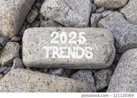 Planning 2025 trends new year symbol. Concept words 2025 Trends on beautiful grey stone. Beautiful grey stones background. Business 2025 trends new year concept. Copy space. Planning 2025 trends new year symbol. Concept words 2025 Trends on beautiful grey stone. Beautiful grey stones background. Business 2025 trends new year concept. Copy space. 121120369
