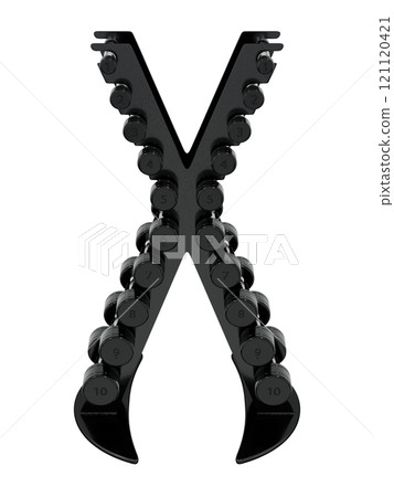 Gym Dumbbell rack in X shape, a stand for weightlifting gym equipment 121120421