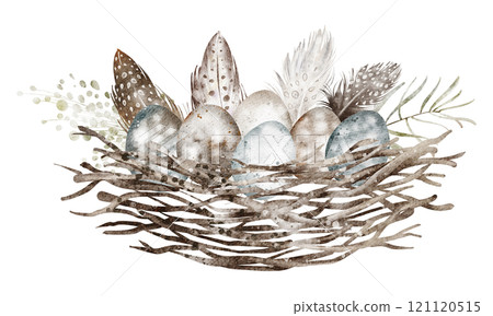 Watercolor illustration of a bird nest with eggs. Hand-drawn design symbolizing the renewal of life during spring, perfect for Easter cards or nature-themed invitations. 121120515