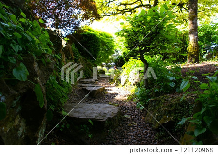 Close-up of a rocky path in an Asian garden. 121120968