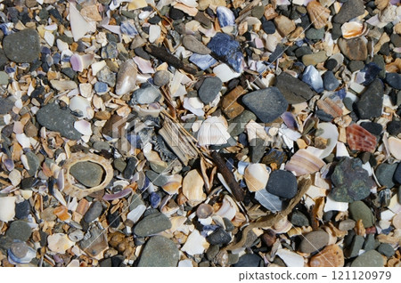 Stones and shell fragments. Background of small shells and stones. Stones and shell fragments. Background of small shells and stones. 121120979