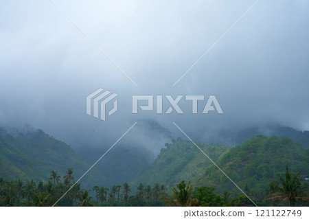 A tropical rainstorm in a rice field with cascading mountains and palm trees. 121122749