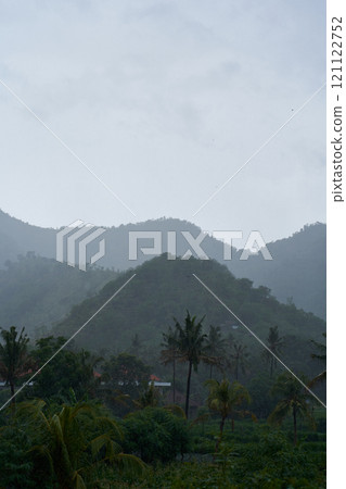 A tropical rainstorm in a rice field with cascading mountains and palm trees. 121122752