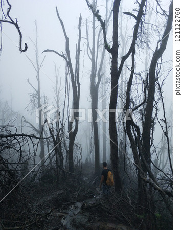 A man with a yellow backpack climbs a mountain in the jungle in a cloud during a storm. Forest in the fog of broken trees, palm trees and branches after a volcanic eruption. 121122760