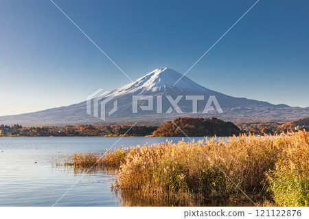"Yamanashi Prefecture" Autumn scenery of Mt. Fuji as seen from Lake Kawaguchi "Yamanashi Prefecture" Autumn scenery of Mt. Fuji as seen from Lake Kawaguchi 121122876