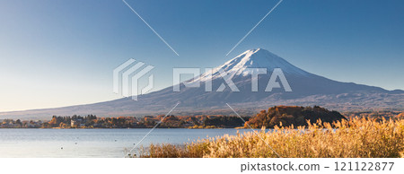 "Yamanashi Prefecture" Autumn scenery of Mt. Fuji as seen from Lake Kawaguchi 121122877