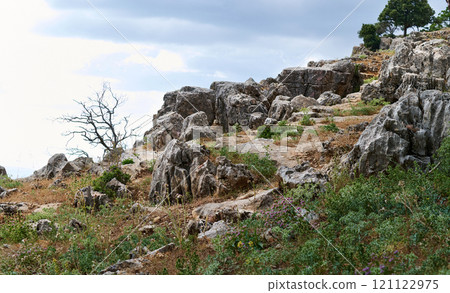 Rocky landscape with vegetation under a cloudy sky Rocky landscape with vegetation under a cloudy sky 121122975