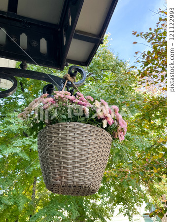 Hanging flowerpot on the terrace, warm autumn 121122993