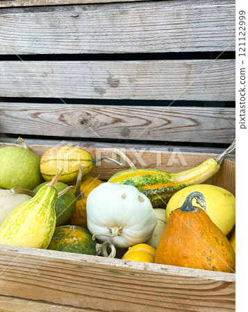 Pumpkins in a box, autumn vegetable arrangement 121122999
