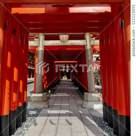 Tokyo, Ota Ward, Anamori Inari Shrine, Okunomiya Shrine and the red torii gate to Inariyama 121123055