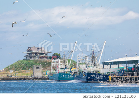 「青森縣」:黑尾鷗繁殖地蕪島、八戶市八戶第一魚市場漁港 「青森縣」:黑尾鷗繁殖地蕪島、八戶市八戶第一魚市場漁港 121123100