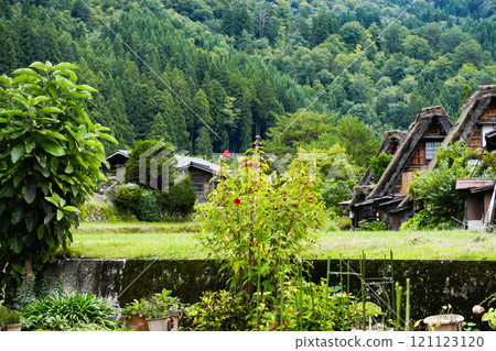 Shirakawago in autumn 121123120