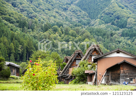 Shirakawago在秋天 121123125