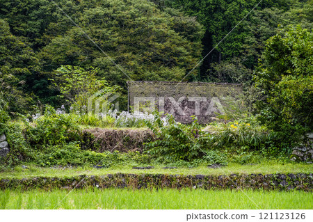 Shirakawago在秋天 121123126