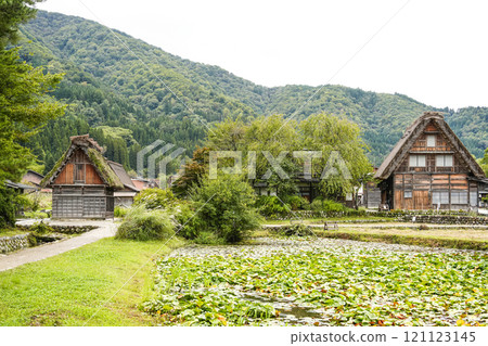 Shirakawago in autumn 121123145