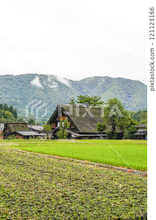 Shirakawago in autumn 121123166