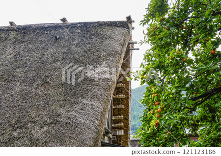 Shirakawago in autumn Shirakawago in autumn 121123186