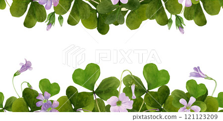 Watercolor frame illustration of vibrant Oxalis Triangularis isolated on white background. 121123209