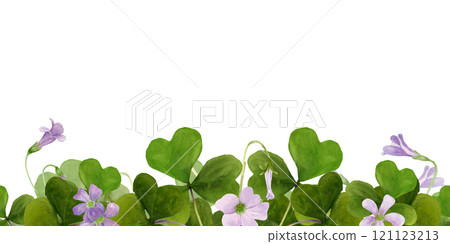 Watercolor frame illustration of vibrant Oxalis Triangularis isolated on white background. Watercolor frame illustration of vibrant Oxalis Triangularis isolated on white background. 121123213