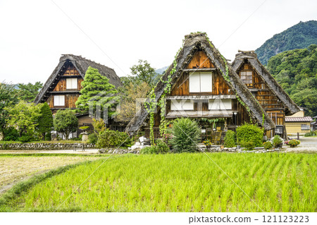 Shirakawago in autumn Shirakawago in autumn 121123223
