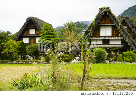 Shirakawago in autumn Shirakawago in autumn 121123230