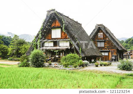 Shirakawago在秋天 121123254