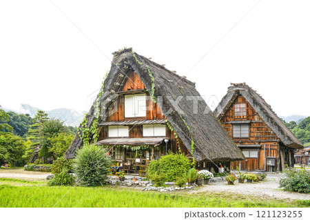 Shirakawago在秋天 121123255