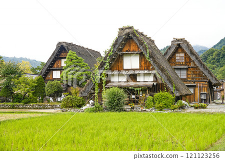 Shirakawago在秋天 121123256